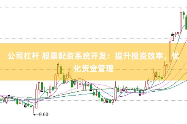 公司杠杆 股票配资系统开发：提升投资效率，优化资金管理