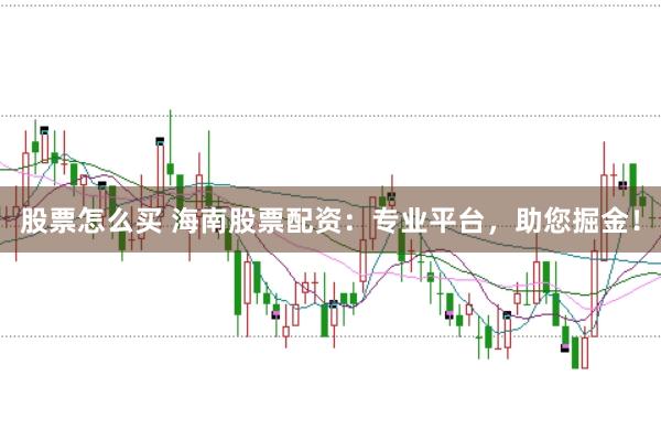 股票怎么买 海南股票配资：专业平台，助您掘金！