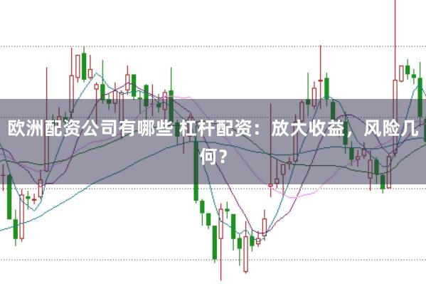 欧洲配资公司有哪些 杠杆配资：放大收益，风险几何？