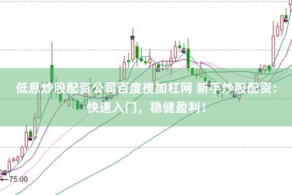 低息炒股配资公司百度搜加杠网 新手炒股配资：快速入门，稳健盈利！