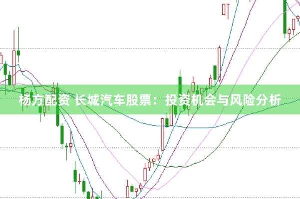 杨方配资 长城汽车股票：投资机会与风险分析